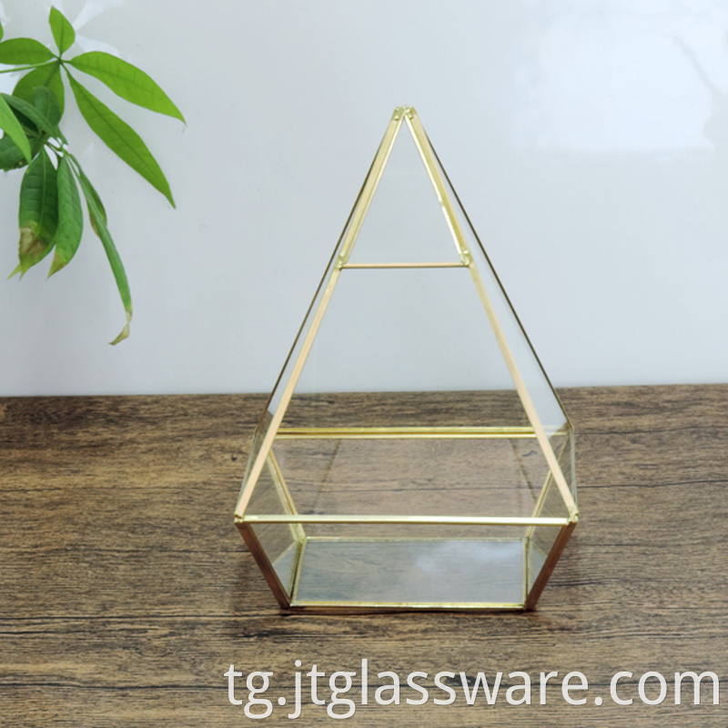 Geometric Glass Terrarium